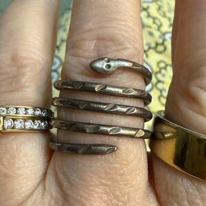 Vintage Dark Silver Serpent Coil Ring